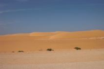 DunesK