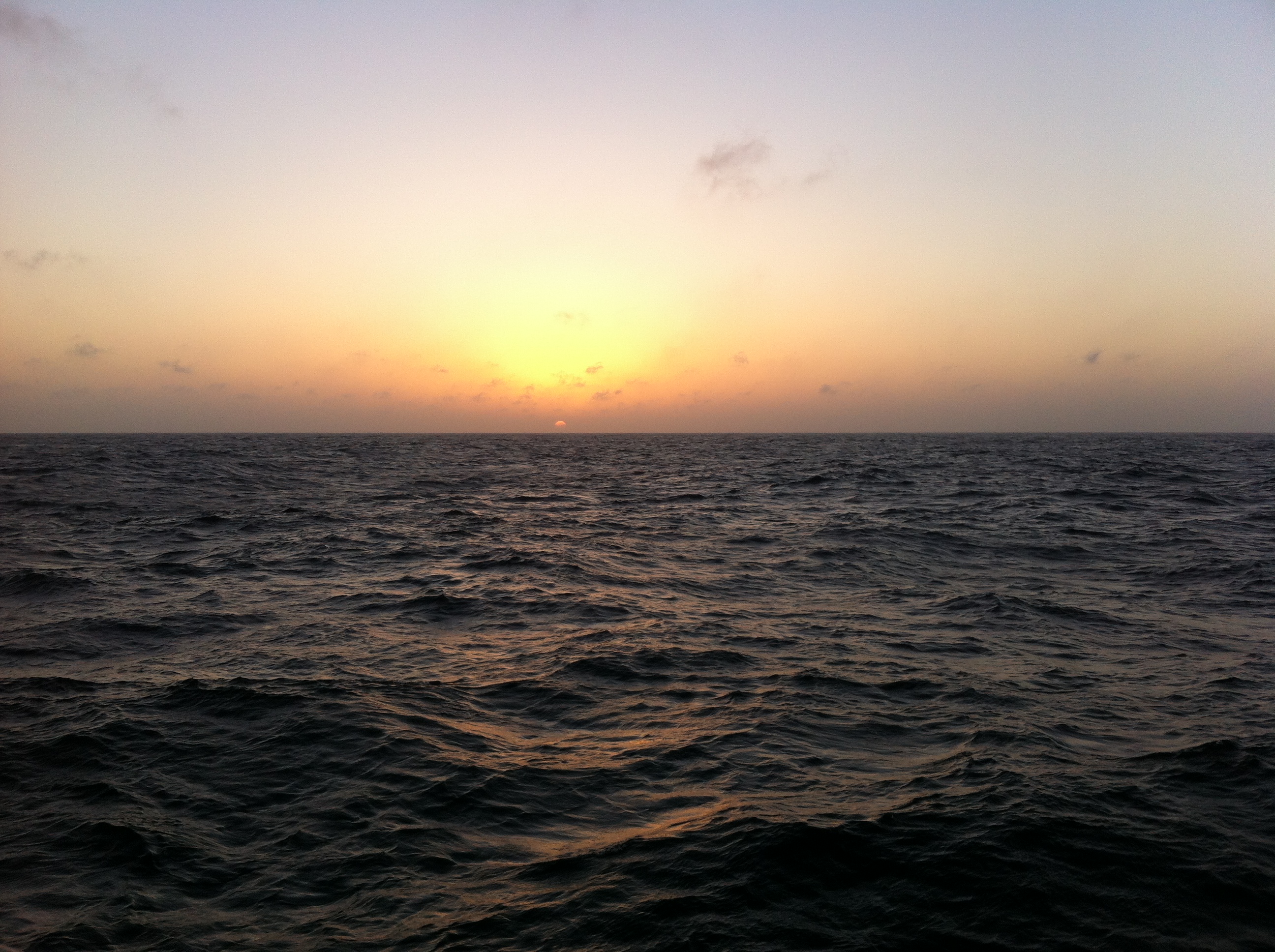 IMG_1677 IMG_1677