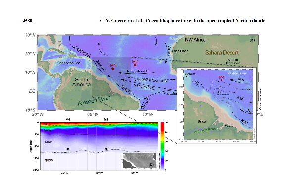 Guerreiro-et-al-2017-fig