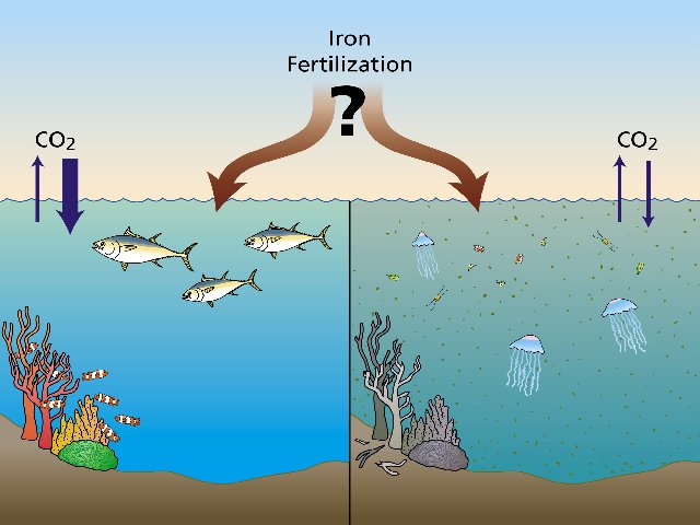 iron-fertilization