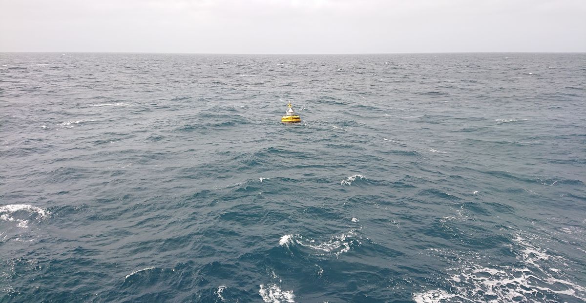 dust19-carmen1 dust19-carmen1