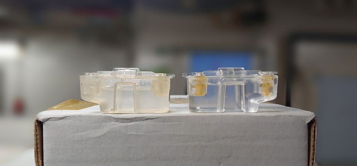 dust19-omni dust19-omni