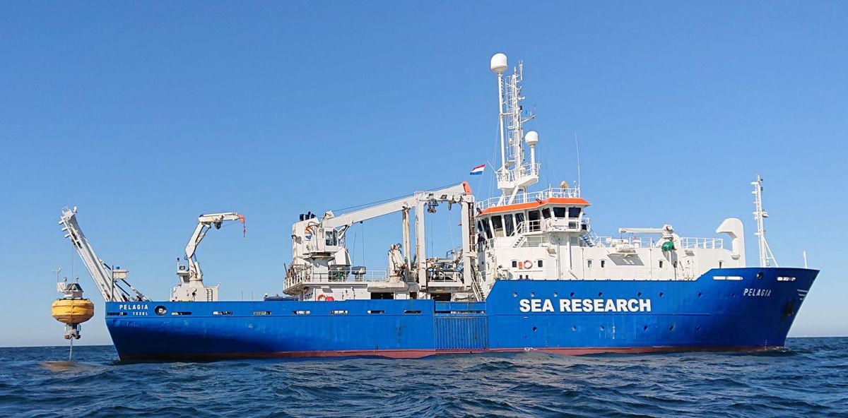 dust19-pel dust19-pel