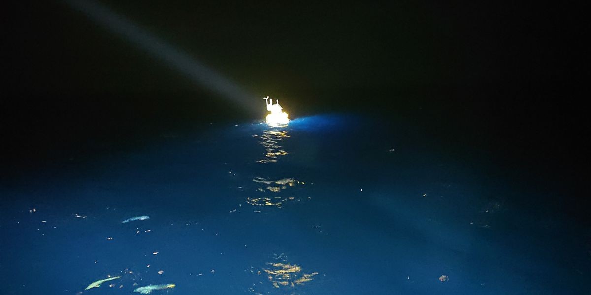 dust19-spotlight dust19-spotlight