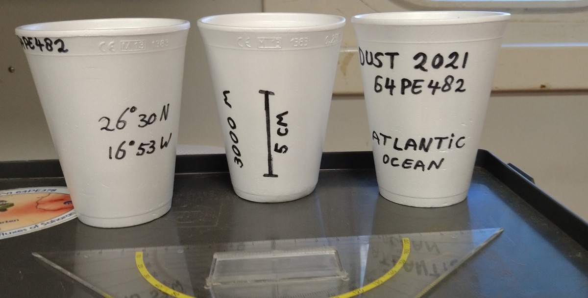 Decorated Styrofoam cups before diving down to 3000m 