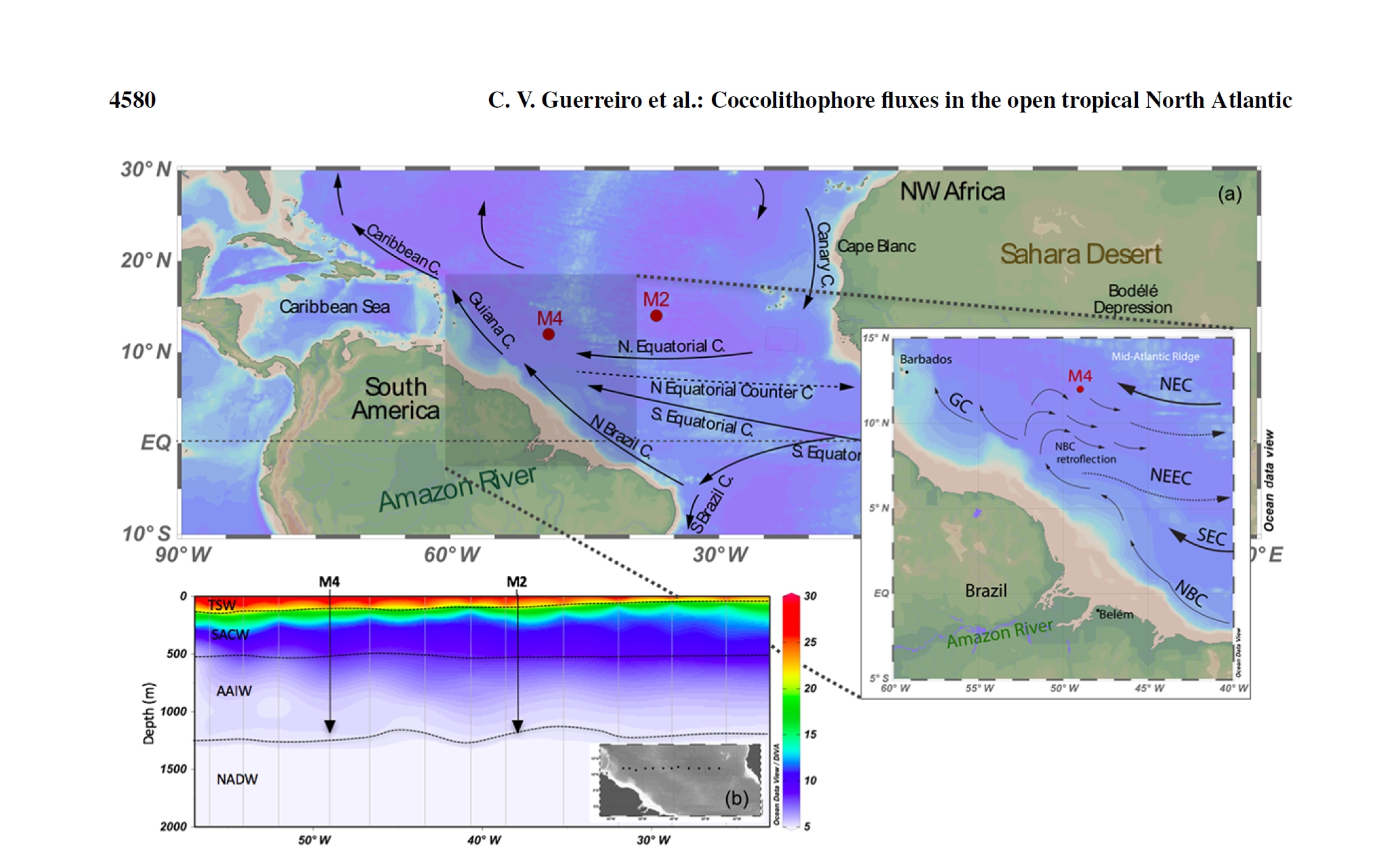 news-Guerreiro-et-al-2017-fig