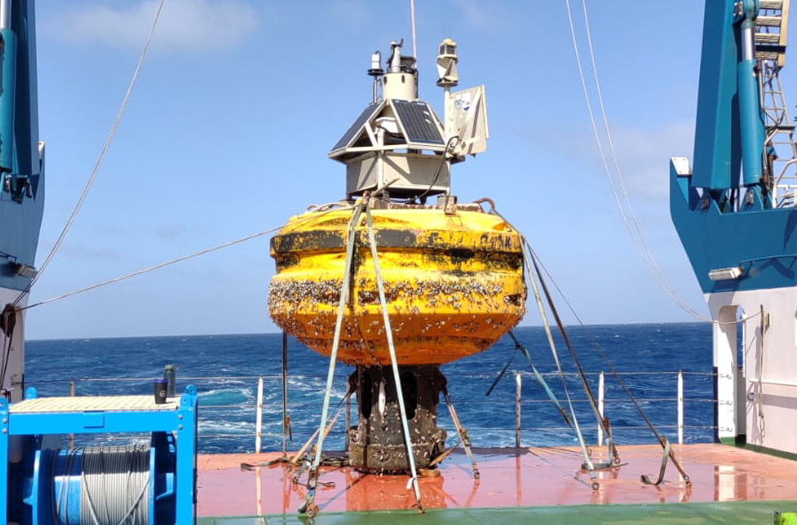 Buoy Carmen standing on the deck of RRS Discovery
