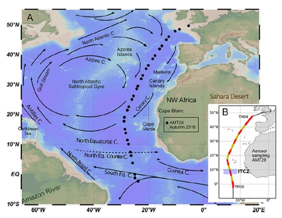 news-Guerreiro-et-al-fig1